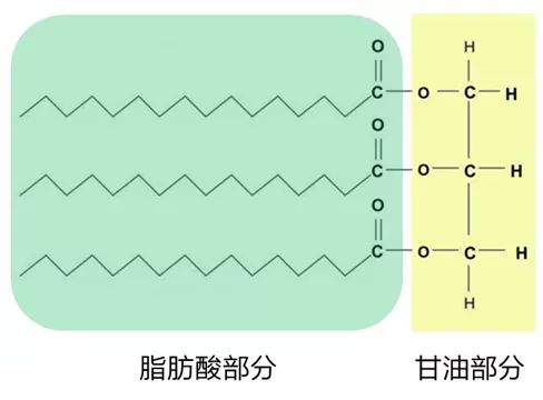 MCT化學(xué)結(jié)構(gòu)